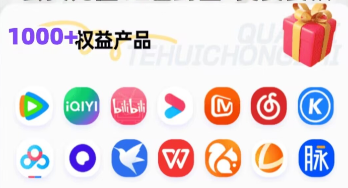 低价充值VIP货源网成本分析